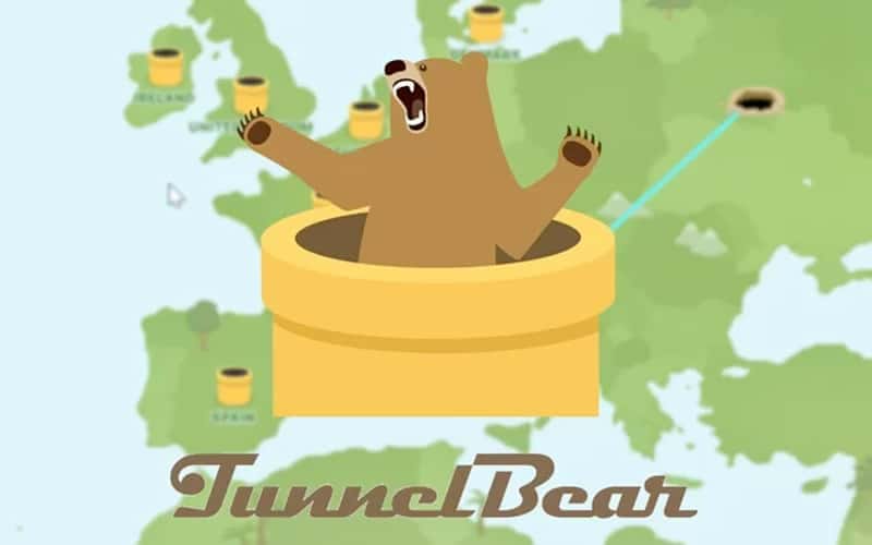 bear 1